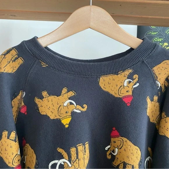 Hanna Andersson Colorful Winter Woolly Mammoth Crewneck Sweatshirt - Picture 6 of 12